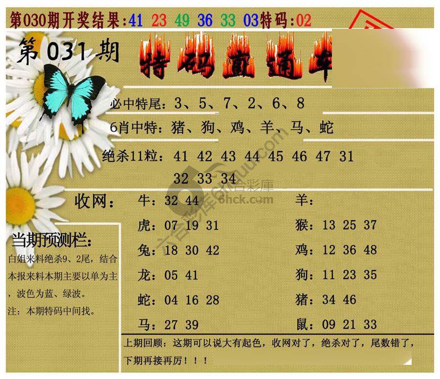 特码直通车