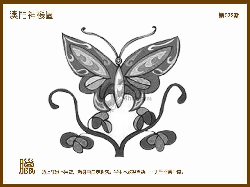 澳门神机图