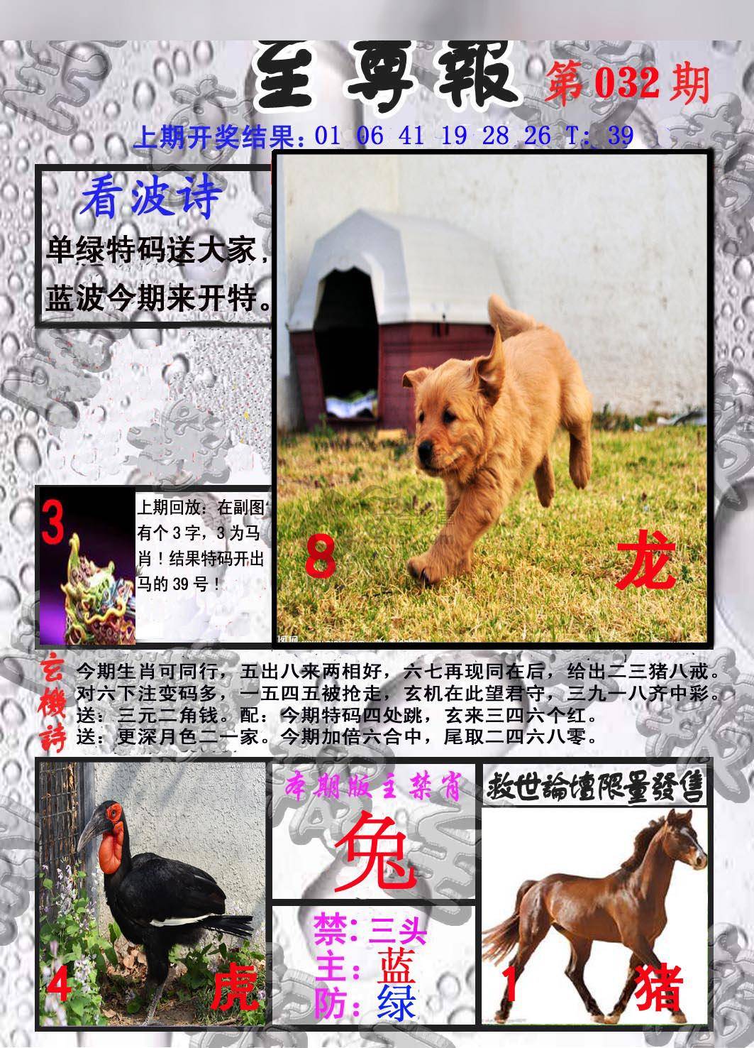 至尊报