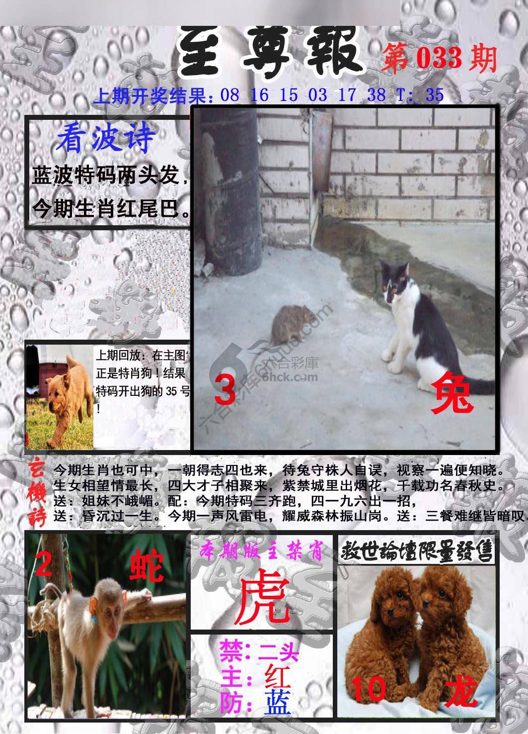 至尊报