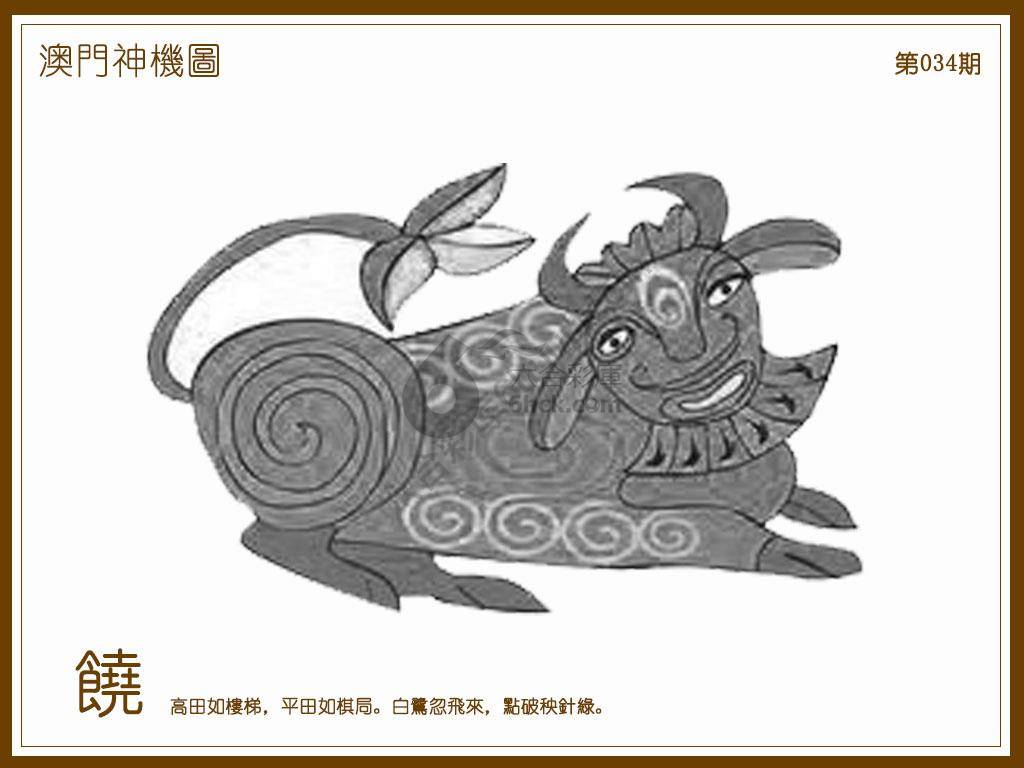 澳门神机图