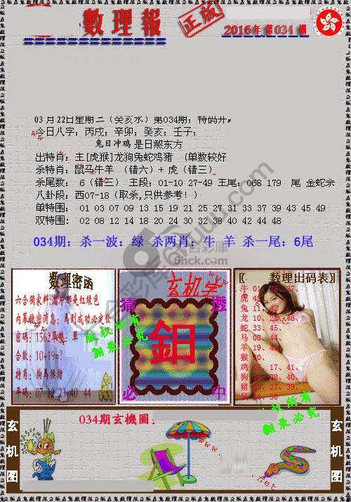 数理报