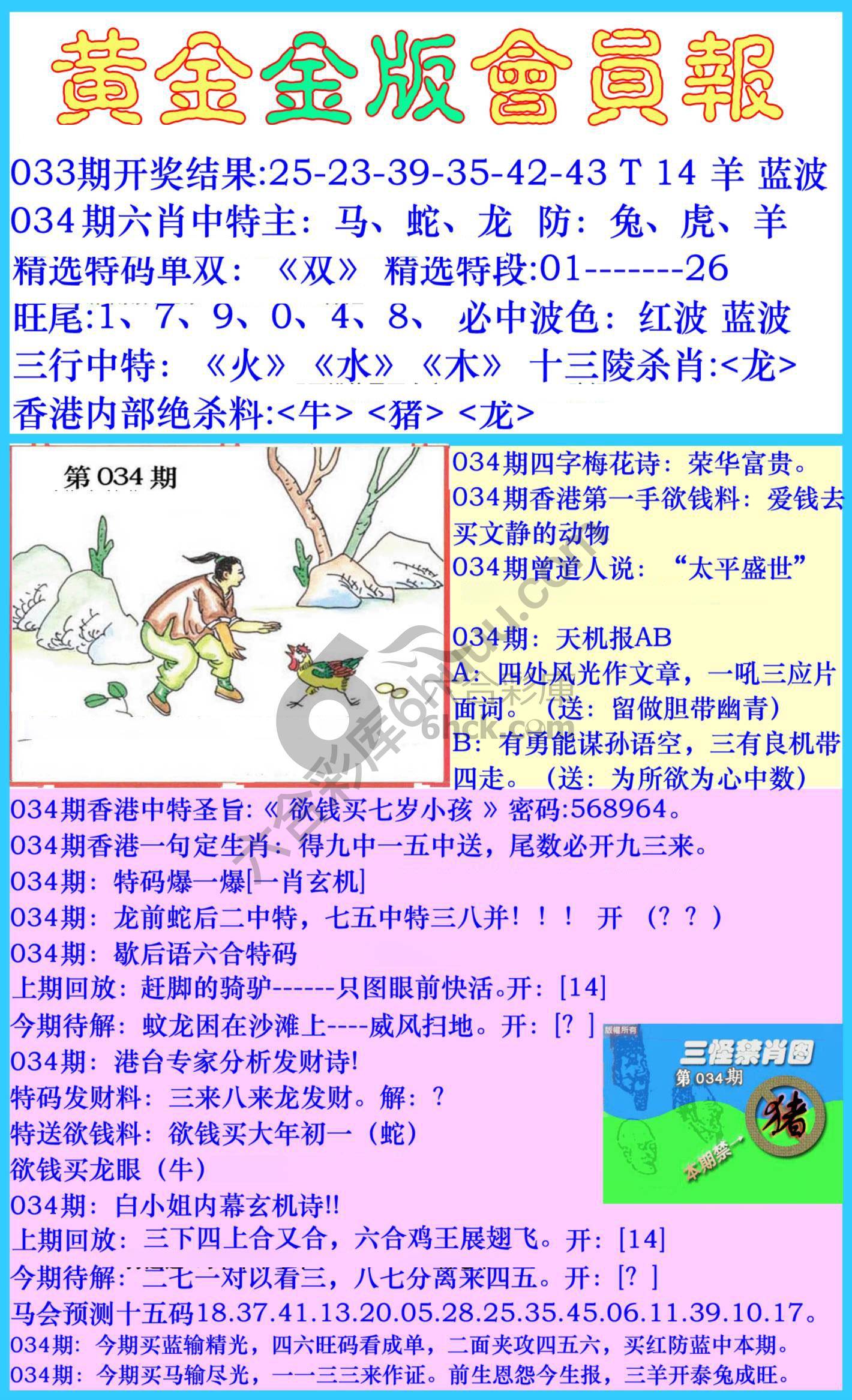 黄金金版会员报