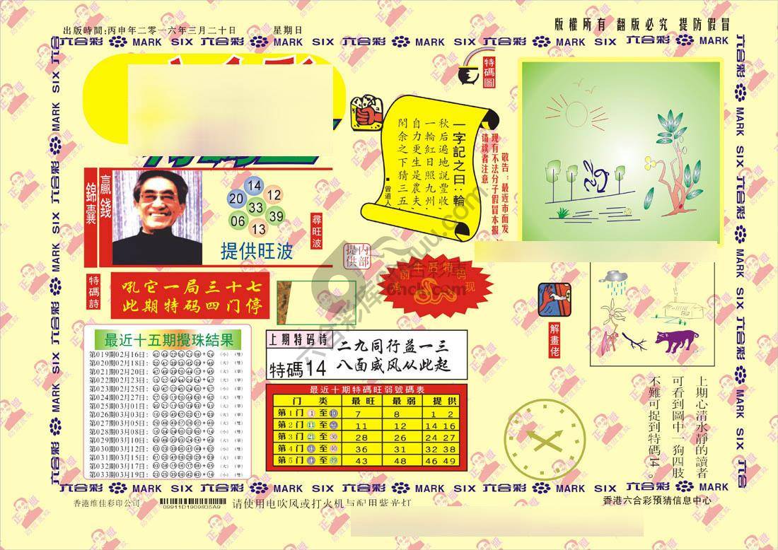 特码王