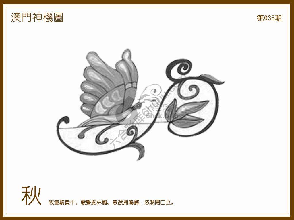 澳门神机图