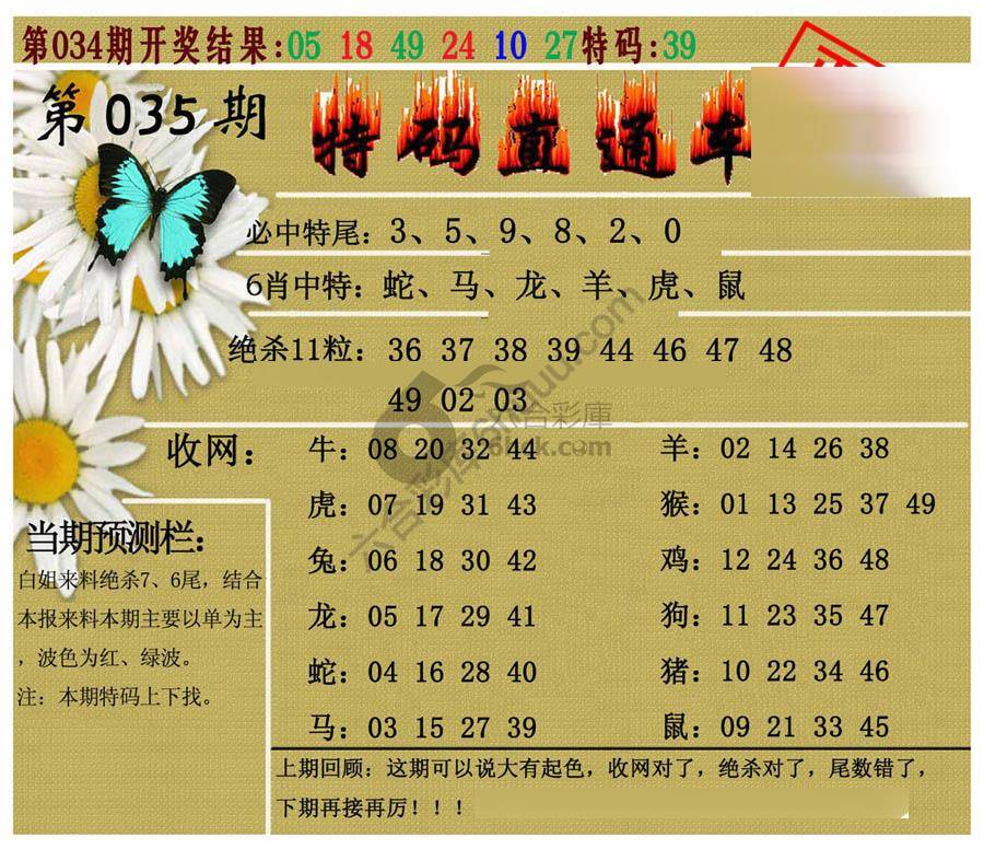 特码直通车