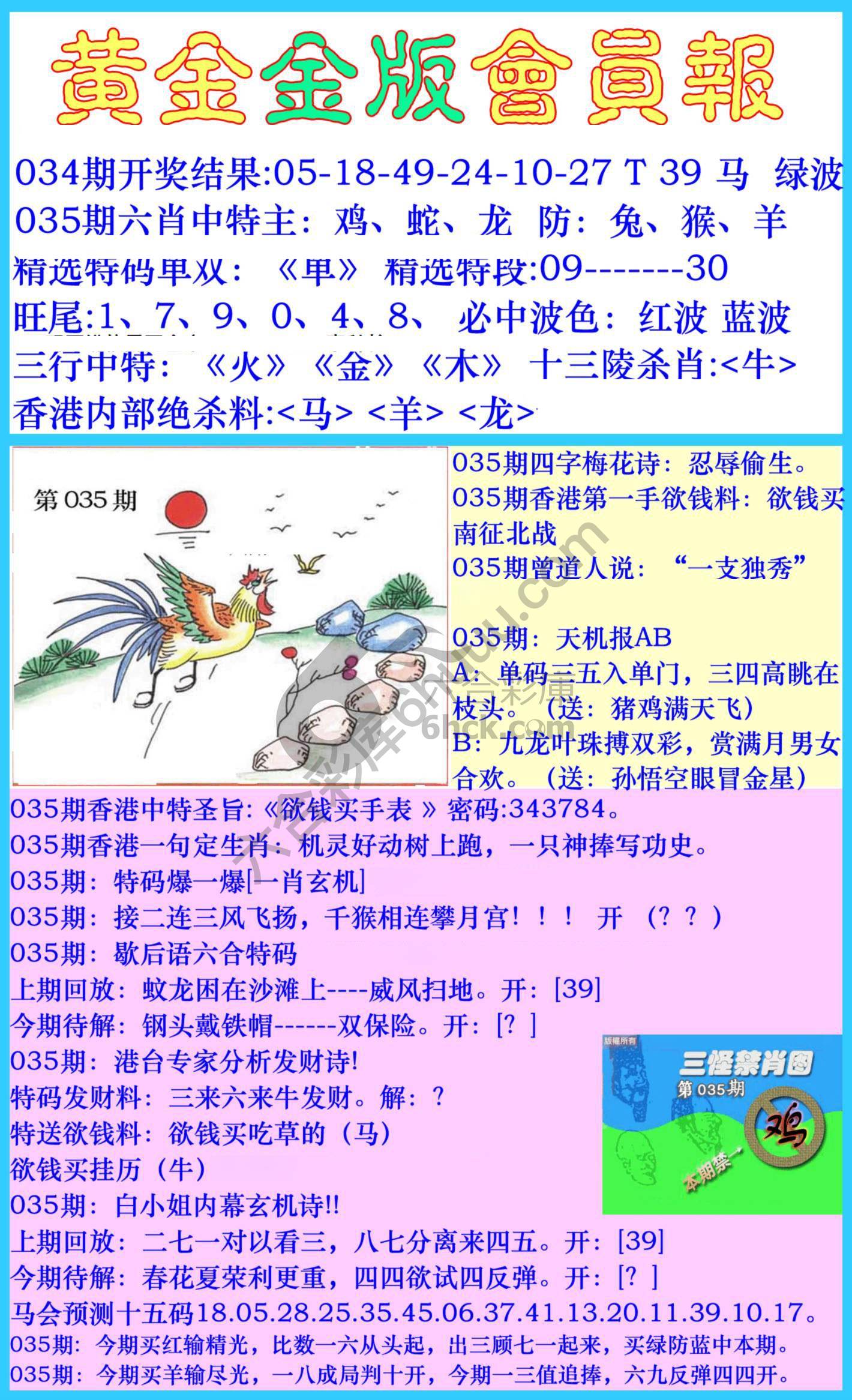 黄金金版会员报