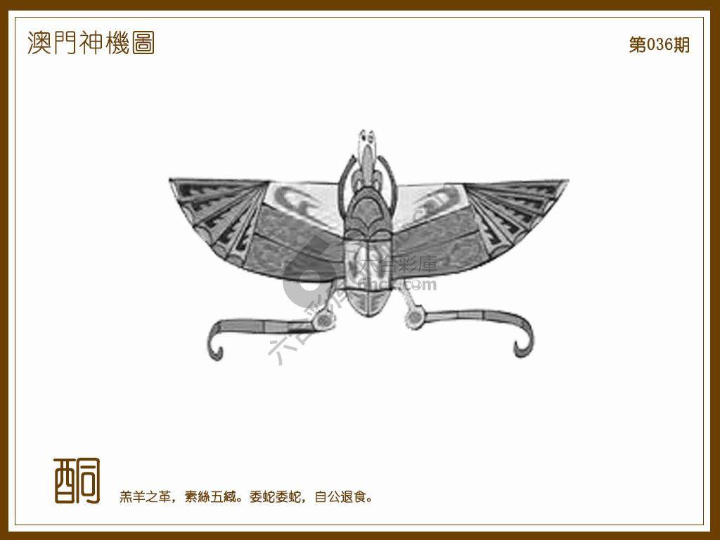 澳门神机图