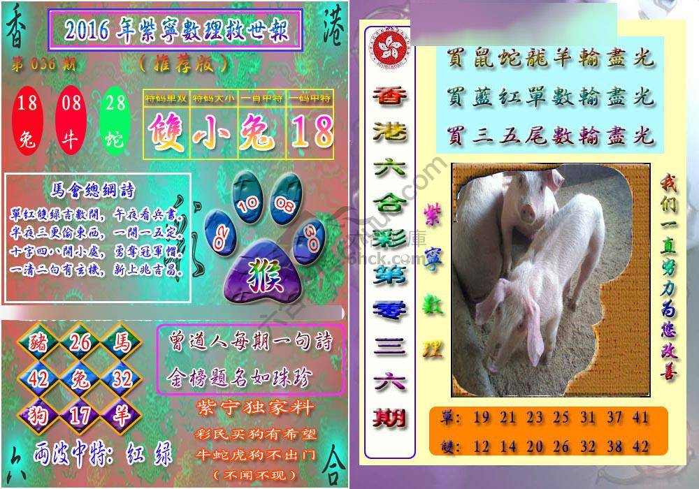 数理救世报