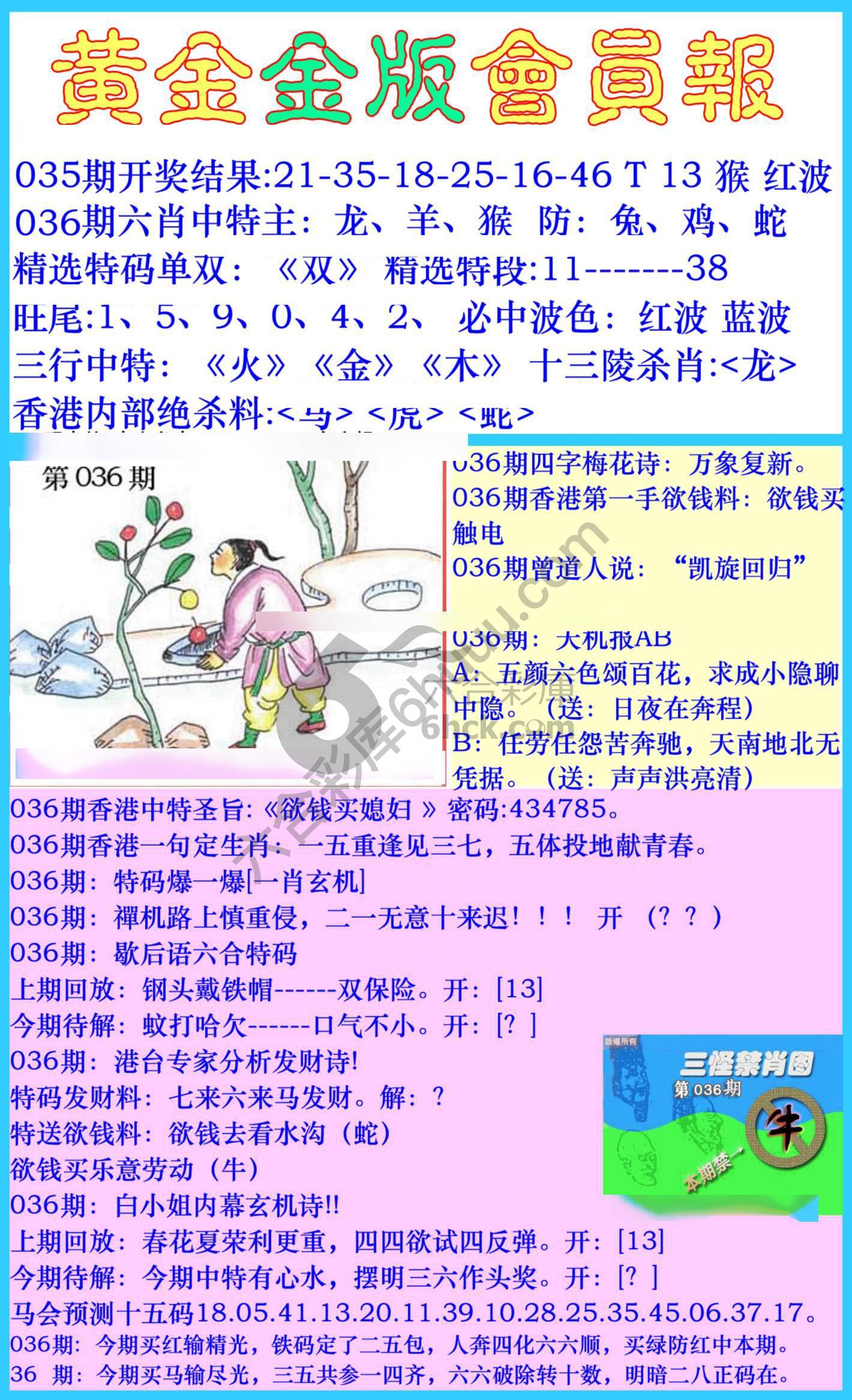 黄金金版会员报
