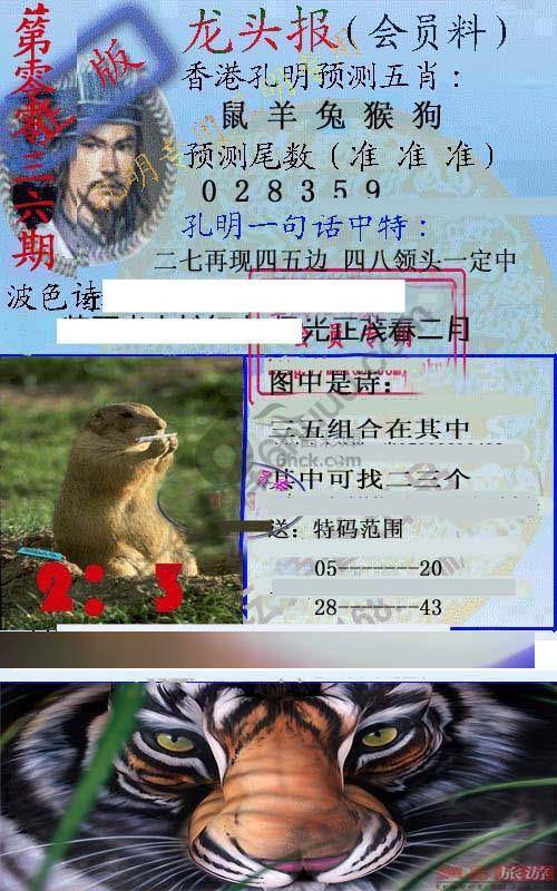 龙头报