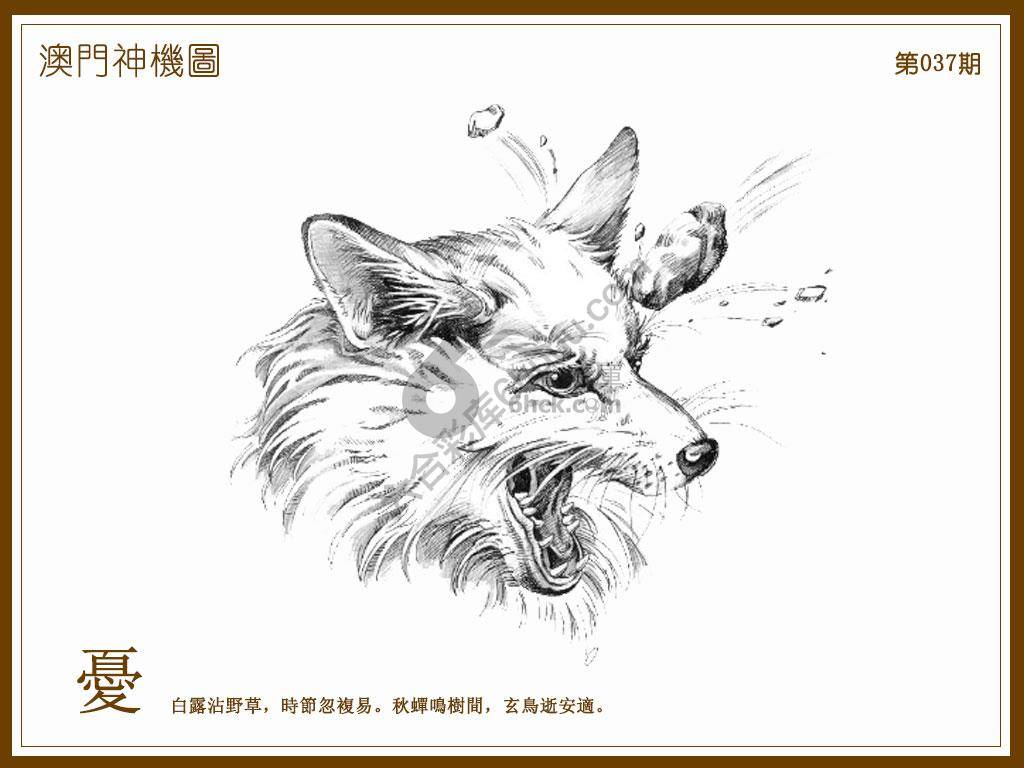澳门神机图