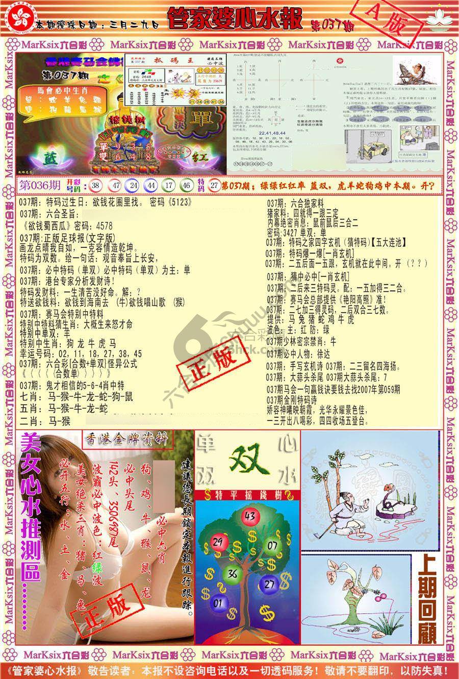 管家婆心水报