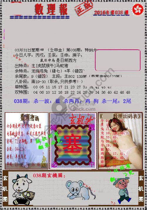 数理报