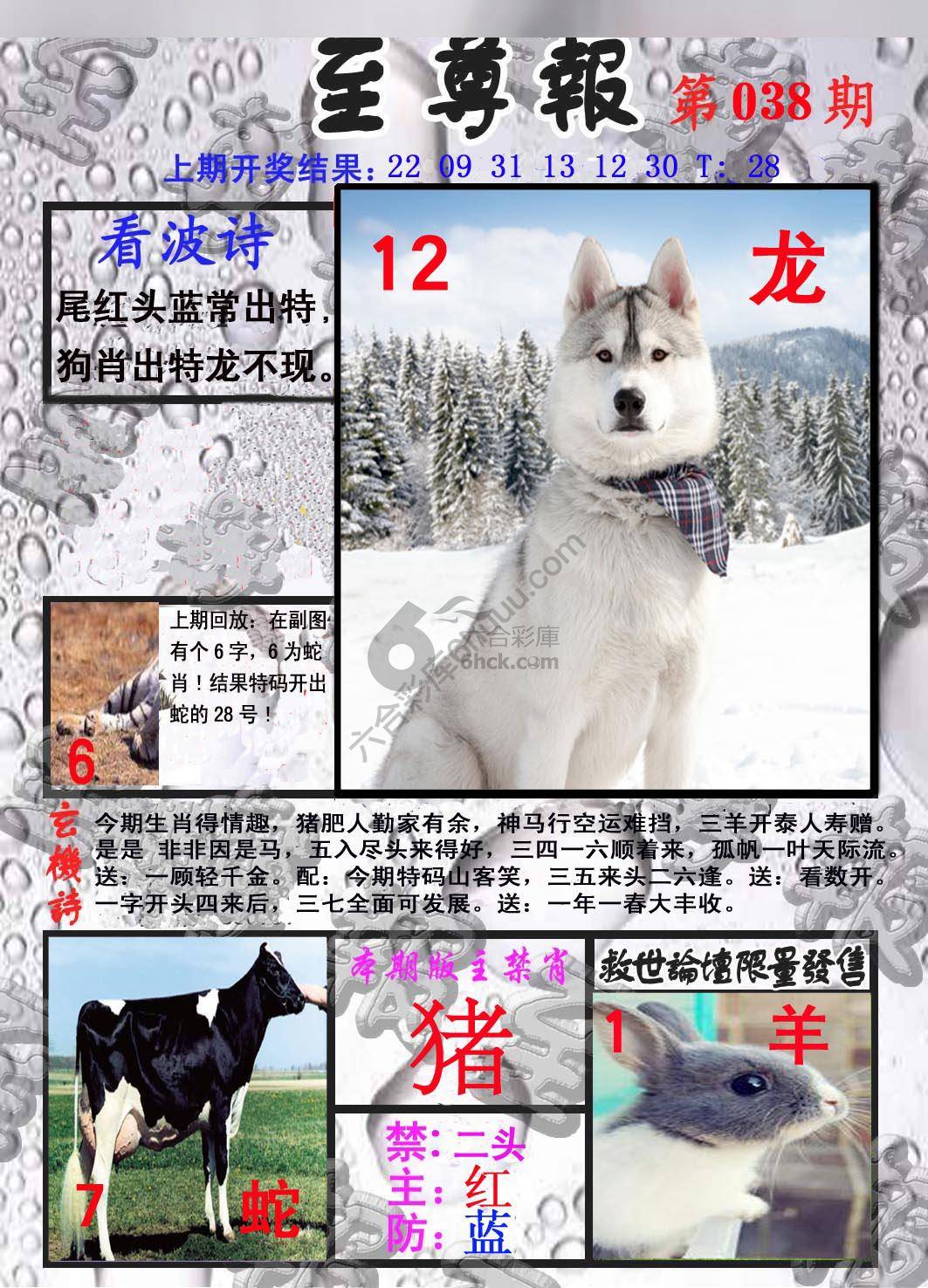 至尊报