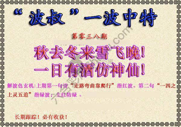 波叔一波中特