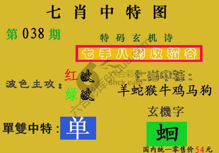 七肖中特图