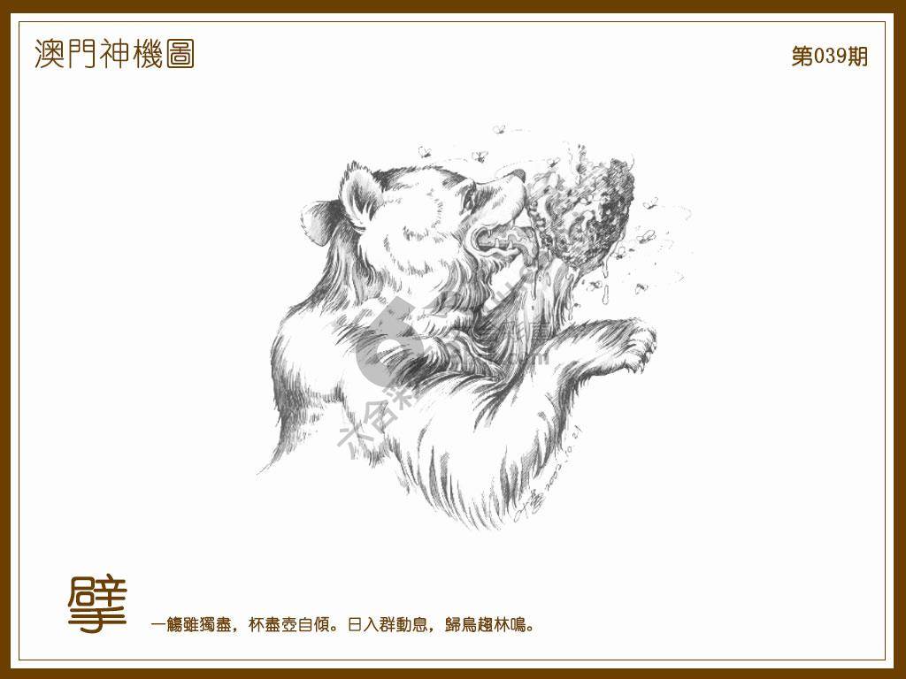 澳门神机图