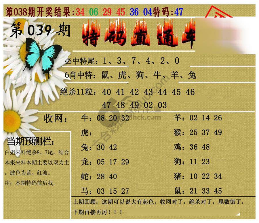 特码直通车