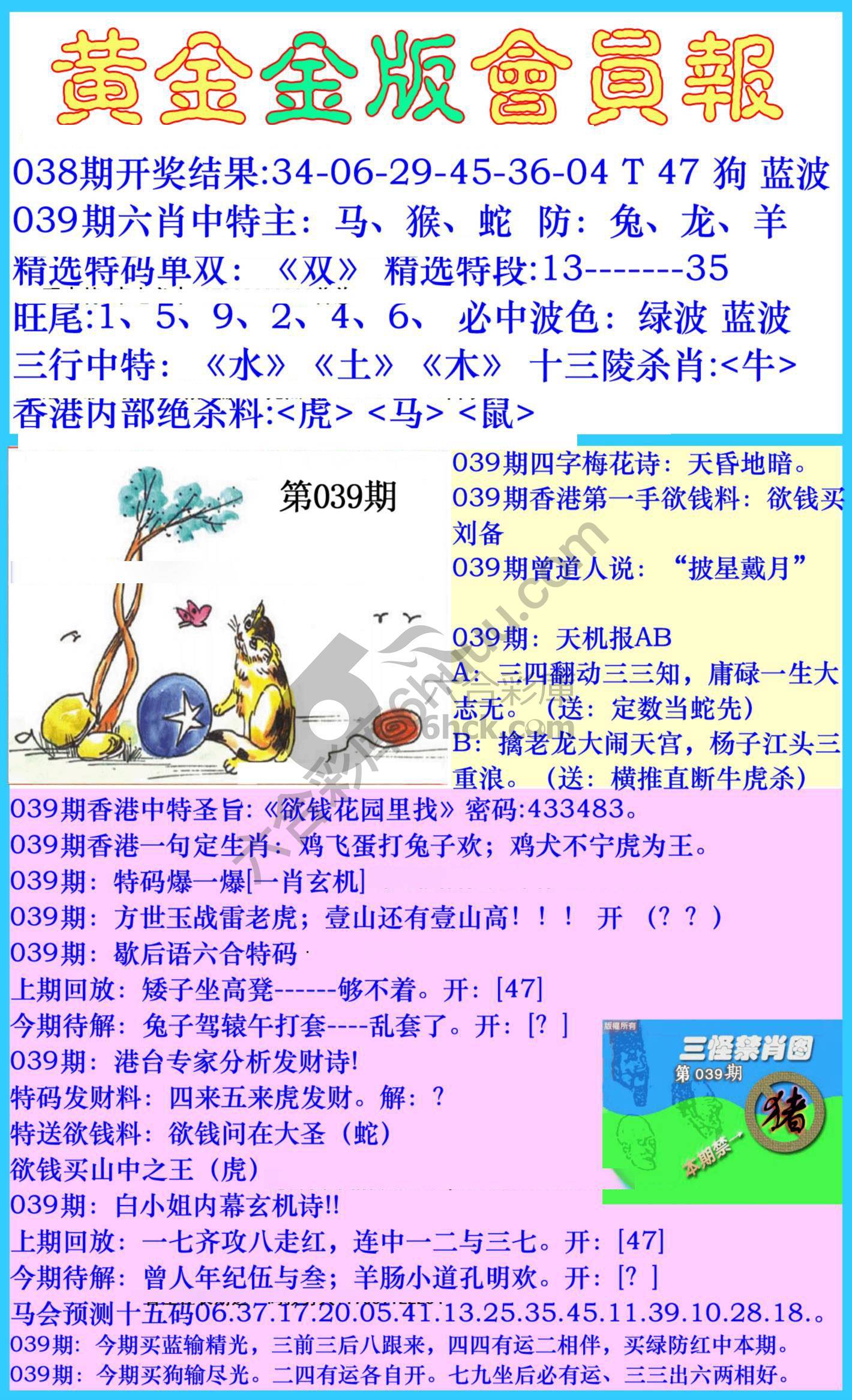 黄金金版会员报