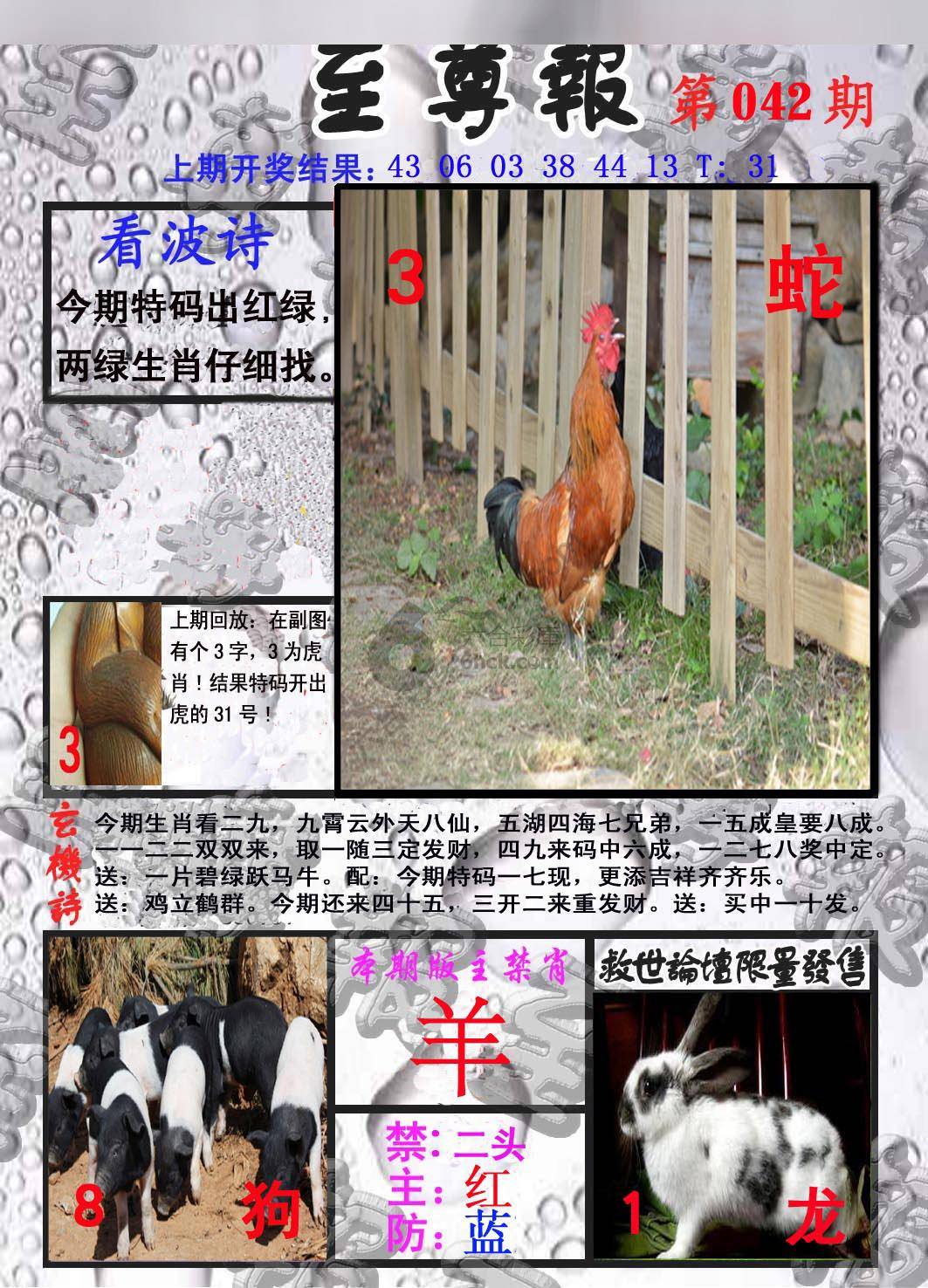 至尊报