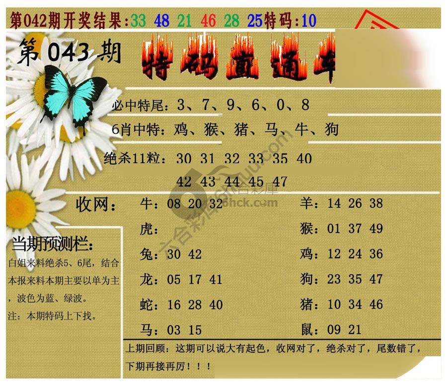 特码直通车