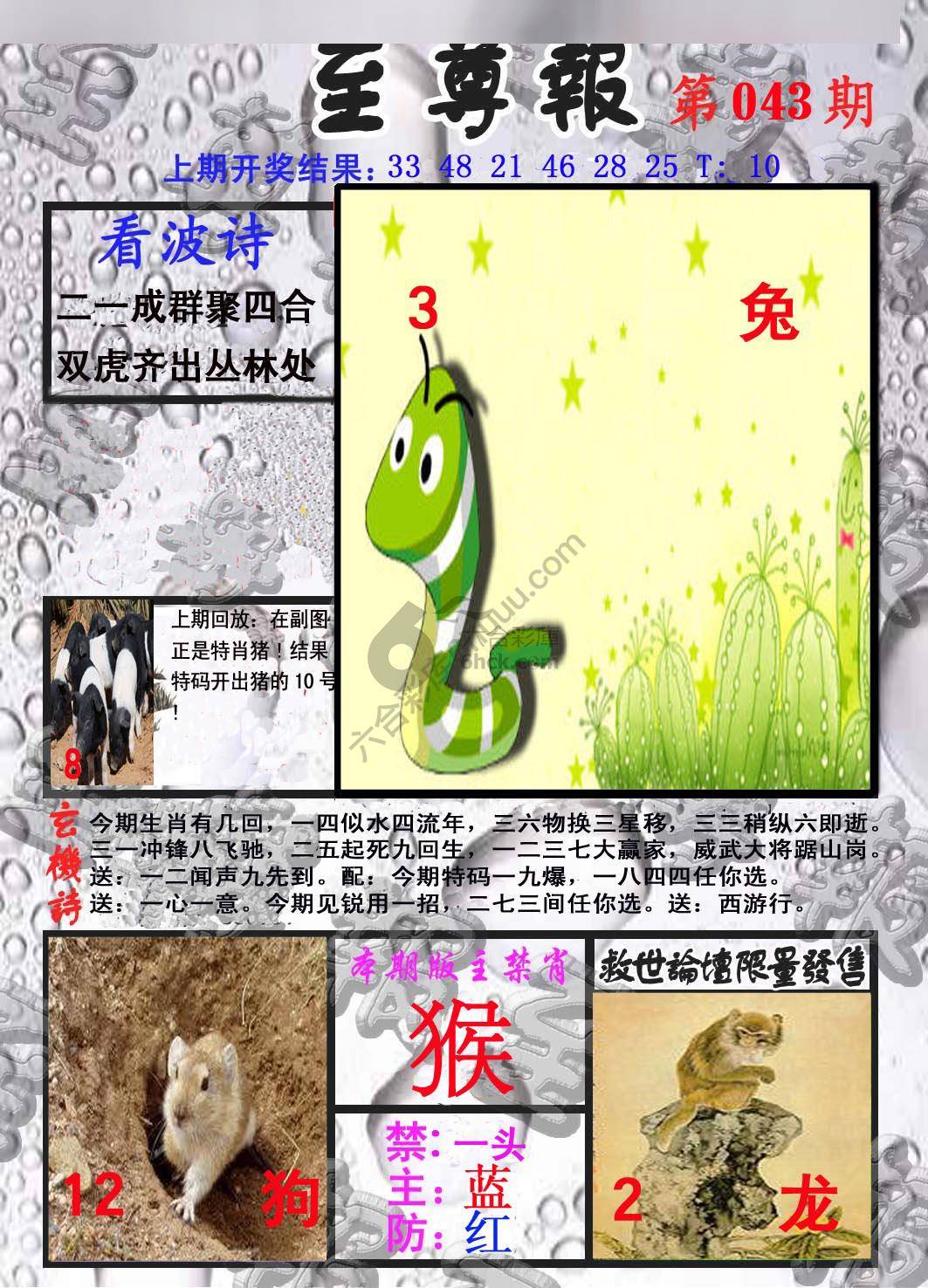 至尊报