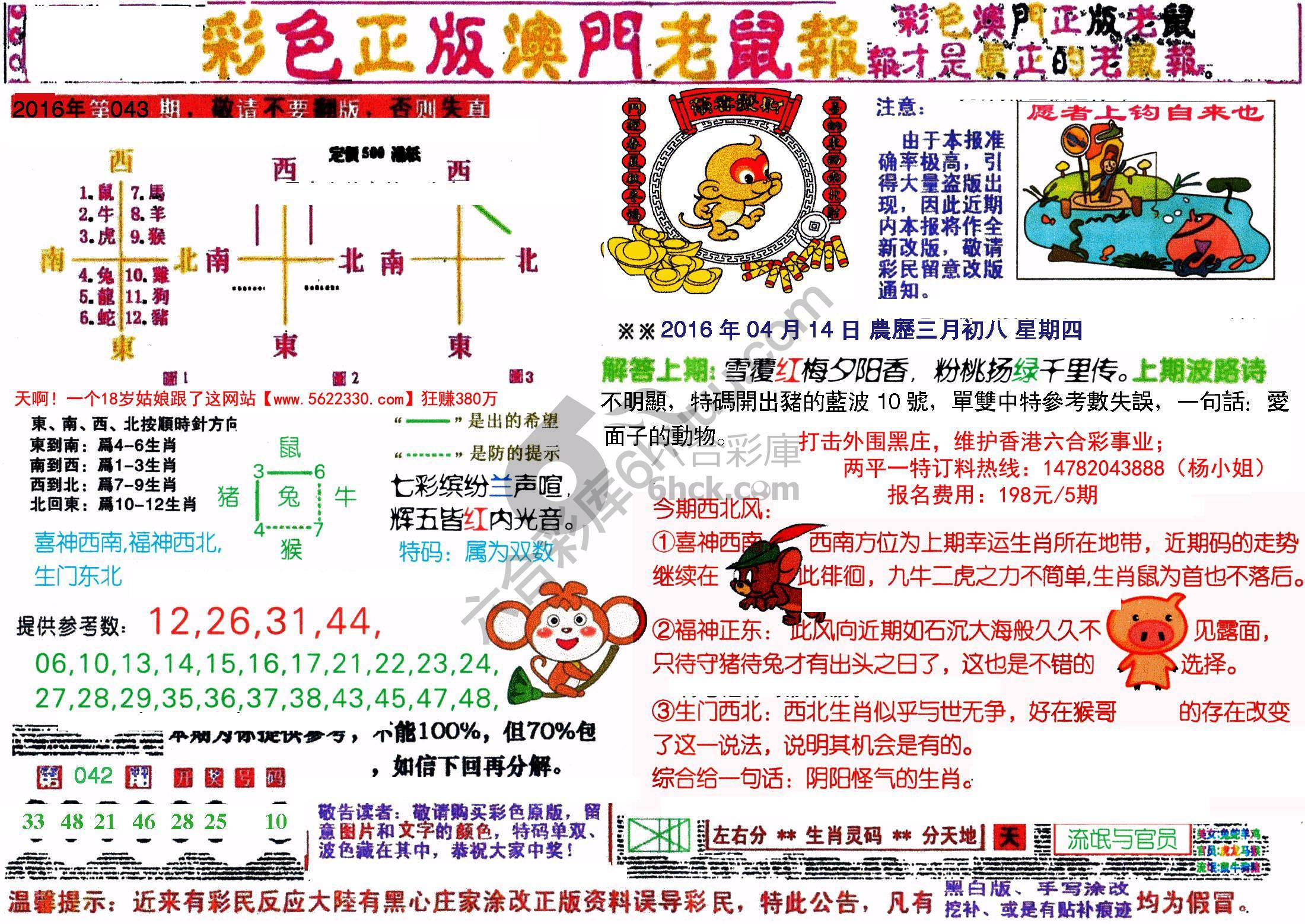 澳门老鼠报