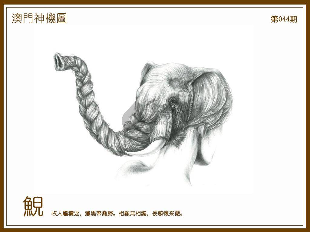 澳门神机图