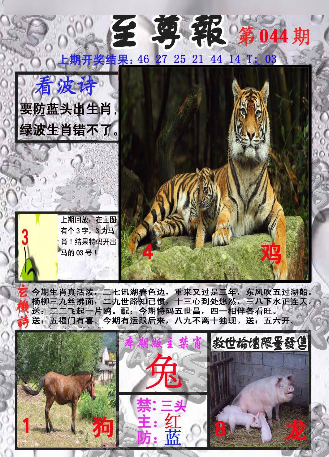 至尊报