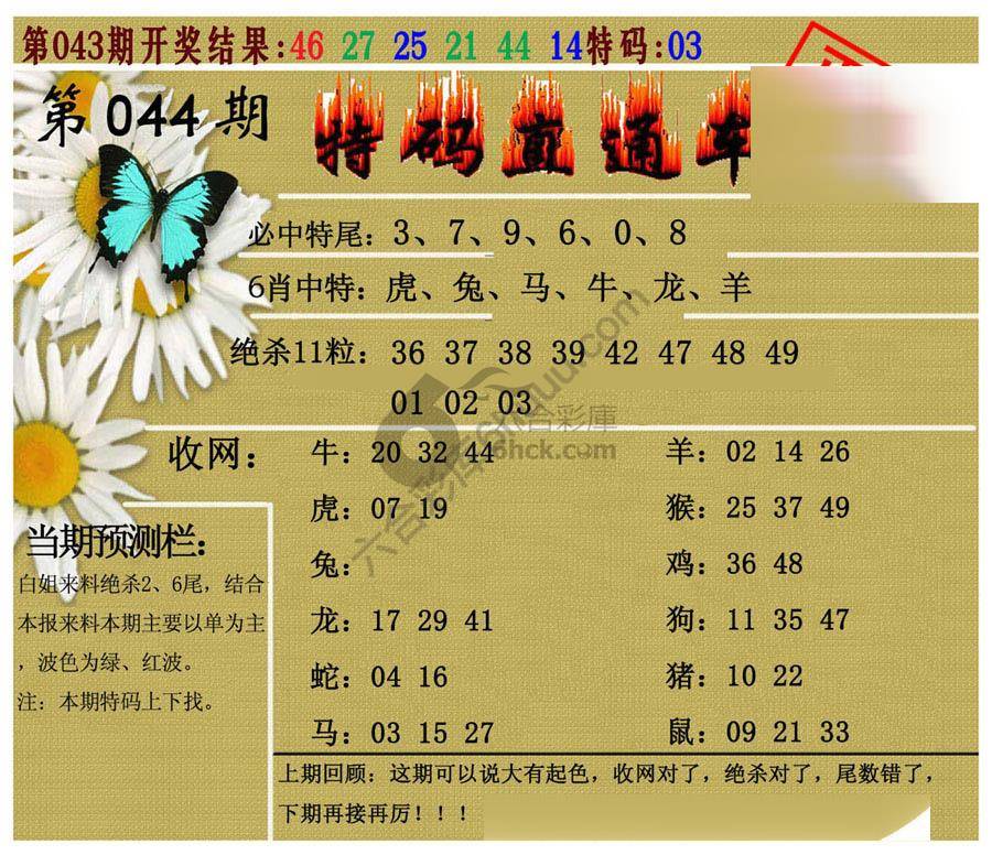 特码直通车