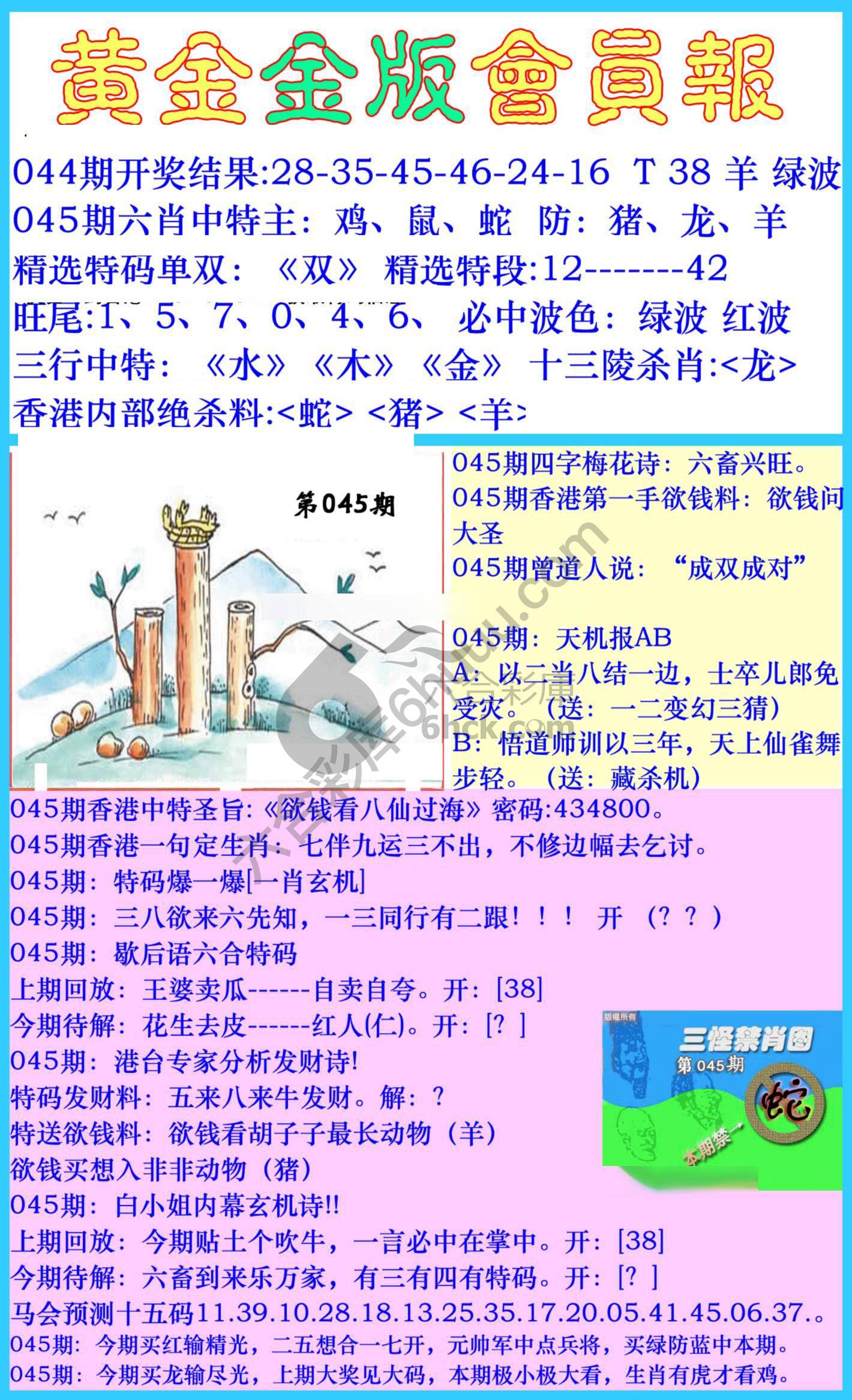 黄金金版会员报