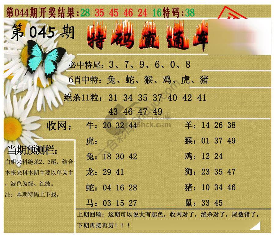 特码直通车