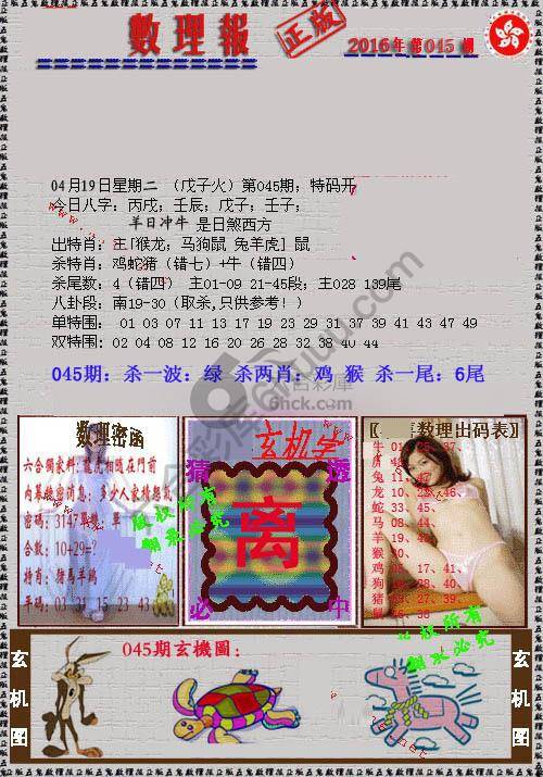 数理报