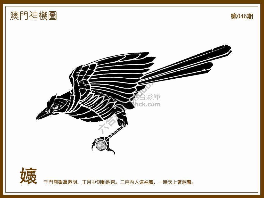 澳门神机图