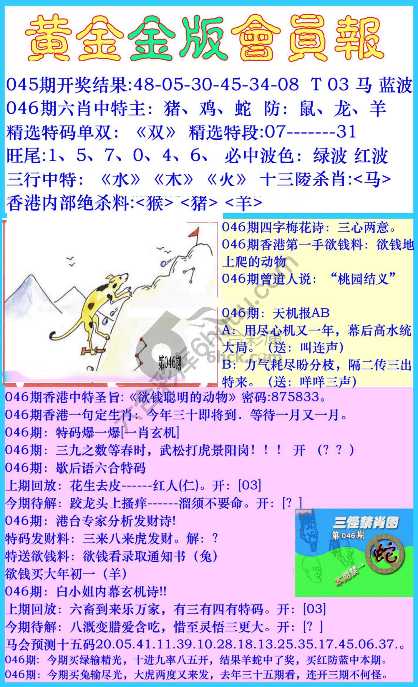黄金金版会员报