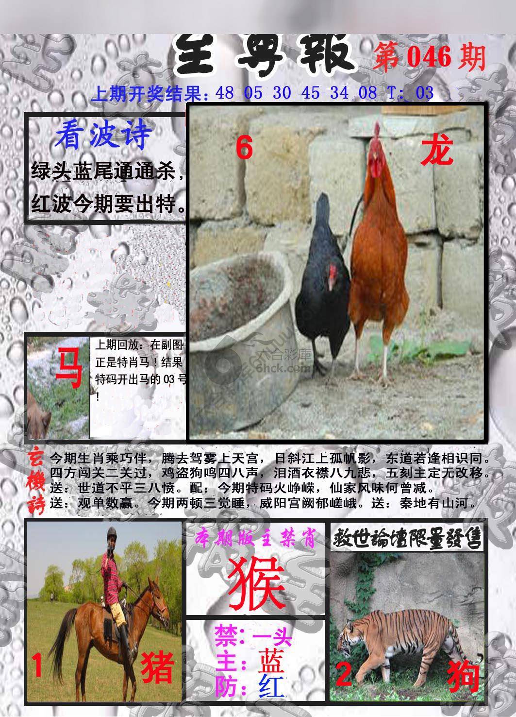 至尊报
