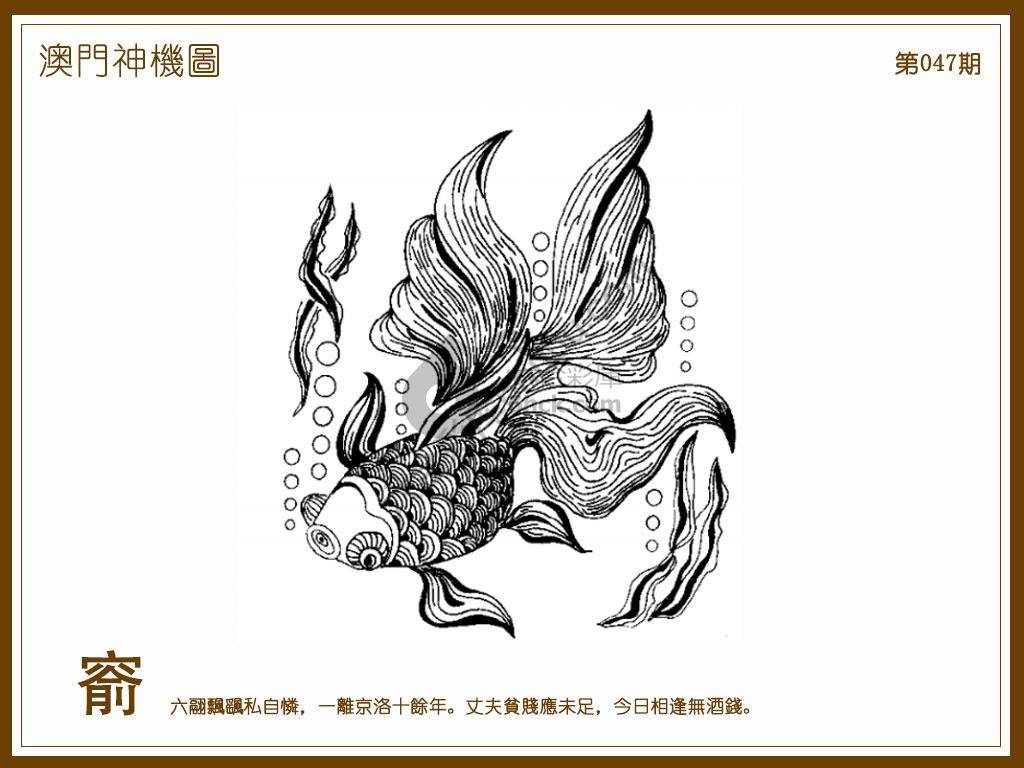 澳门神机图