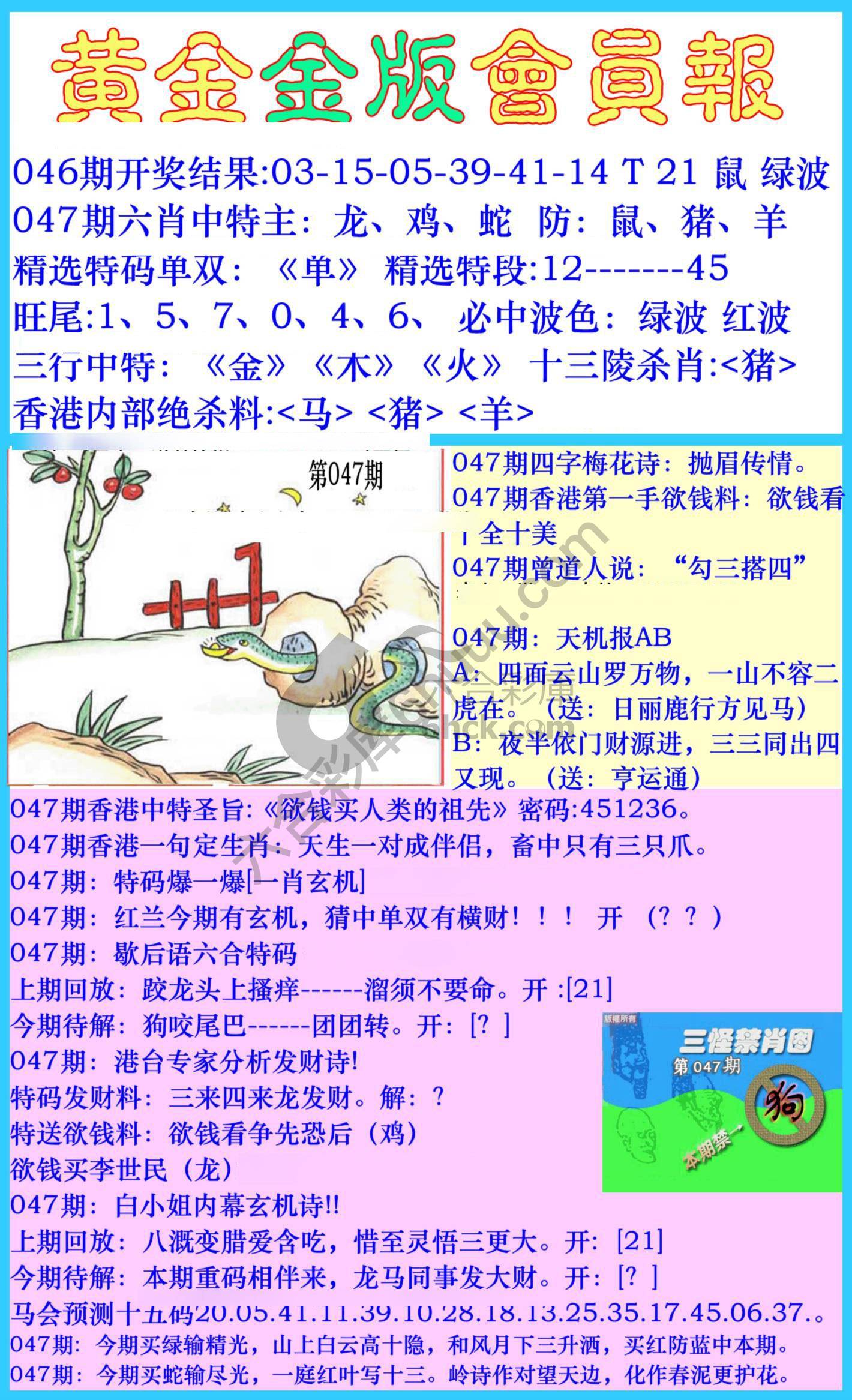 黄金金版会员报