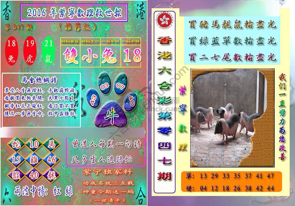 数理救世报