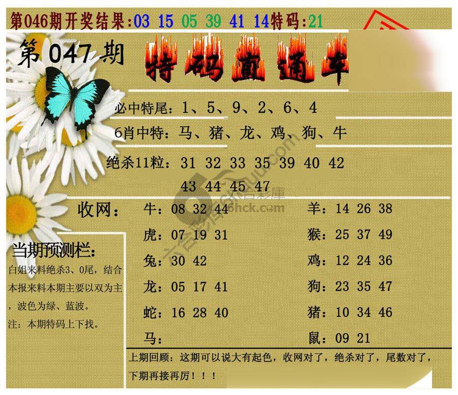 特码直通车