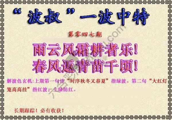 波叔一波中特