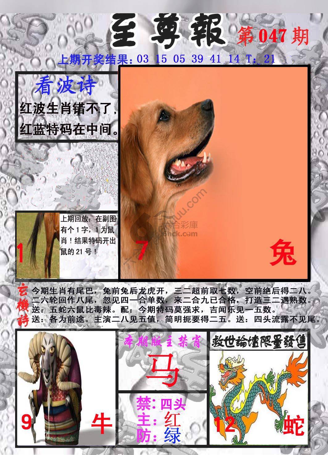 至尊报