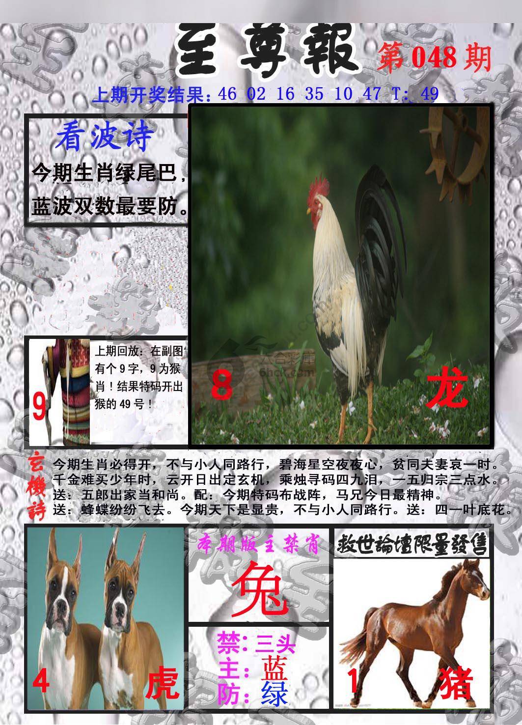 至尊报
