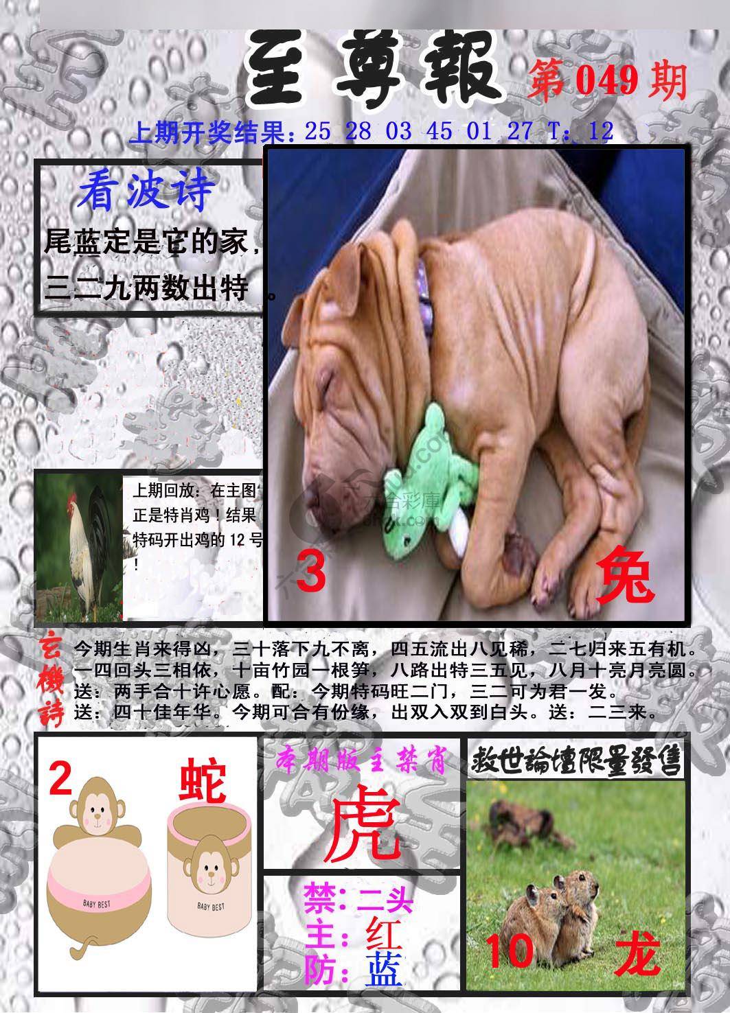 至尊报