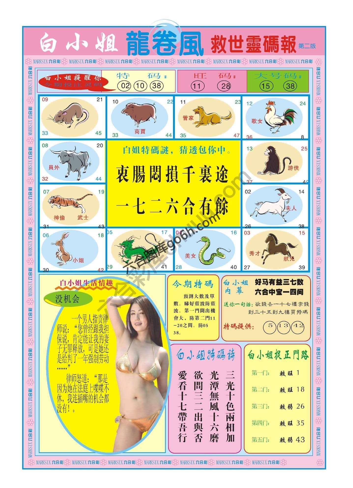白小姐龙卷风