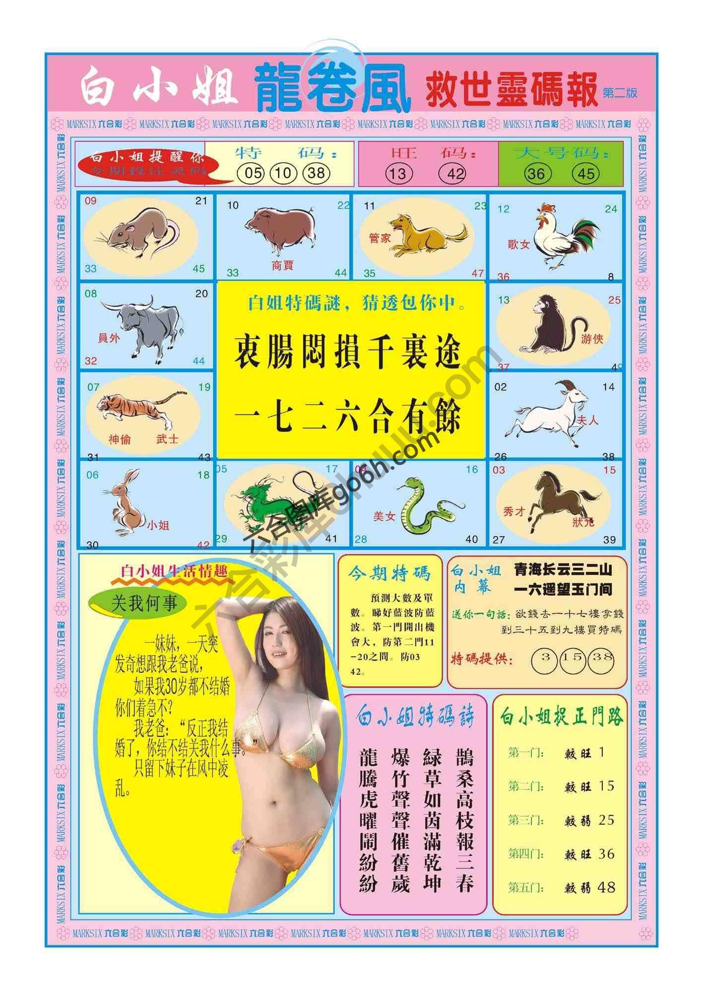 白小姐救世灵码报