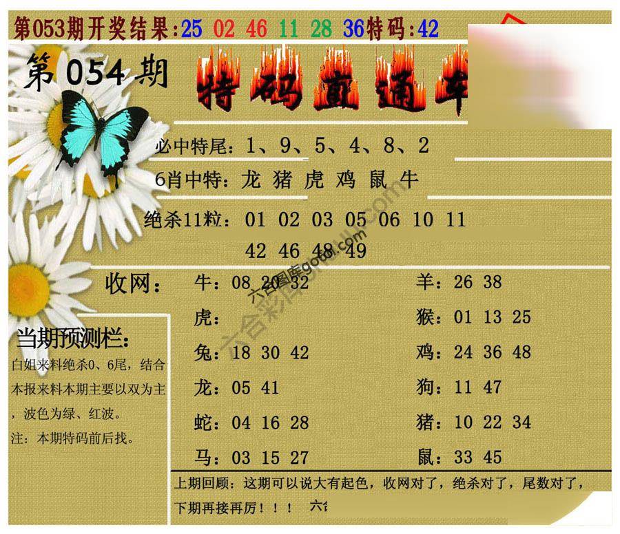 特码直通车