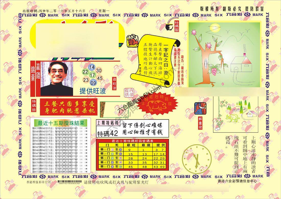 特码王