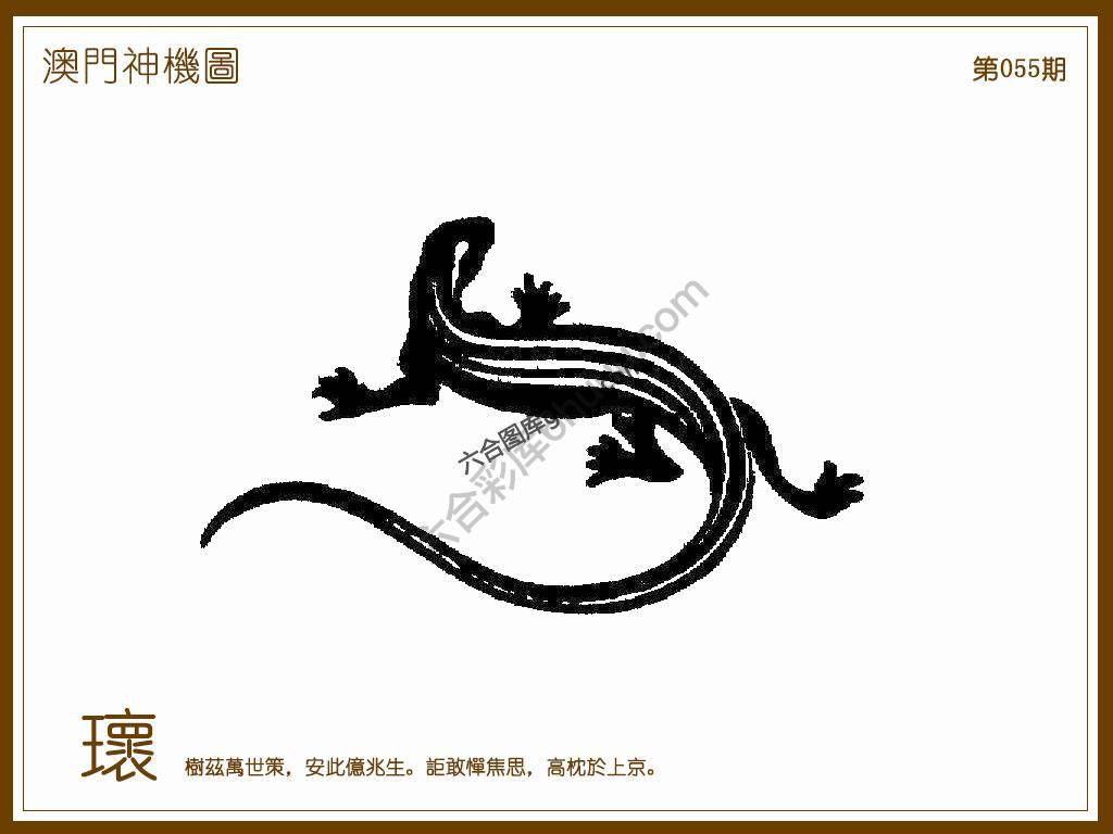 澳门神机图